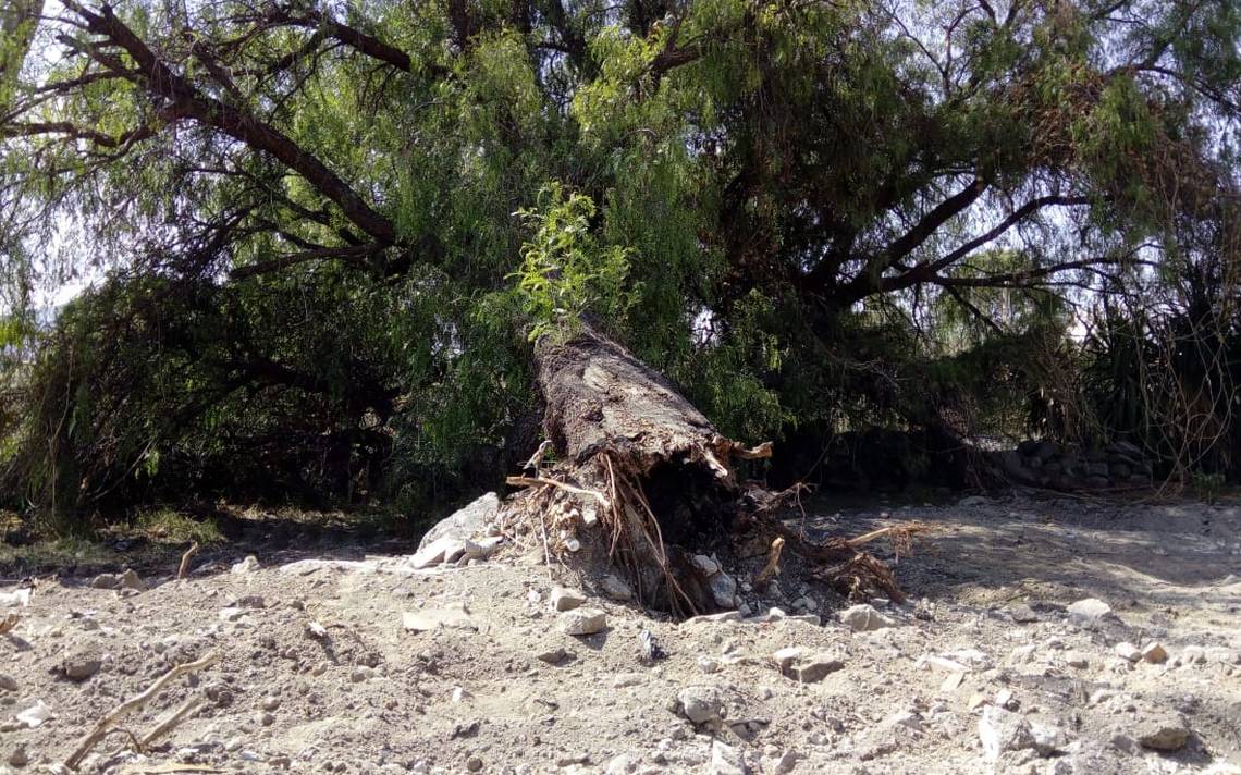 Rehúsa familia abandonar "El Dique", Ecatepec - El Sol de Toluca